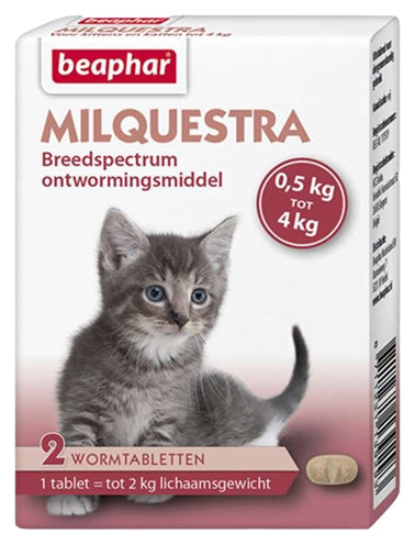 BEAPHAR MILQUESTRA KLEINE KAT / KITTEN 2 TBL