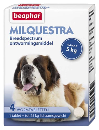 BEAPHAR MILQUESTRA HOND 4 TBL