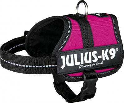 JULIUS K9 POWER-HARNAS / TUIG VOOR LABELS FUCHSIA BABY 2/33-45 CM