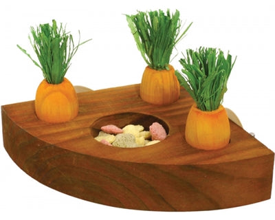 ROSEWOOD WORTEL SPEELGOED EN SNACKHOUDER 12X12 CM