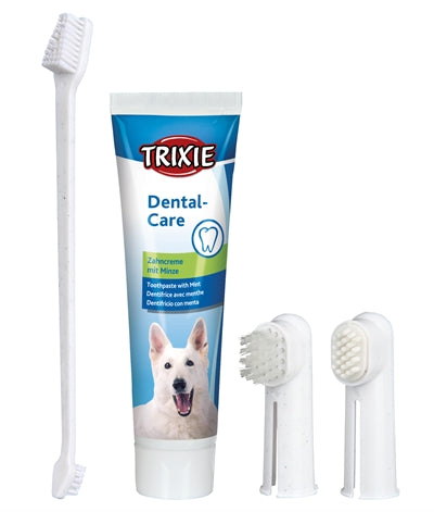 TRIXIE GEBITSVERZORGINGSSET HOND 