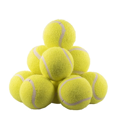 ROSEWOOD JOLLY DOGGY TENNISBAL 12 ST