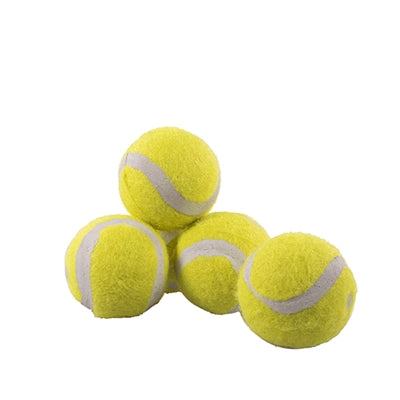 ROSEWOOD JOLLY DOGGY TENNISBAL MINI 5 ST