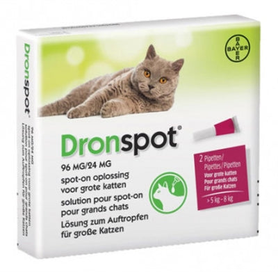 BAYER DRONSPOT KAT SPOT ON L 5-8KG 2 PIP