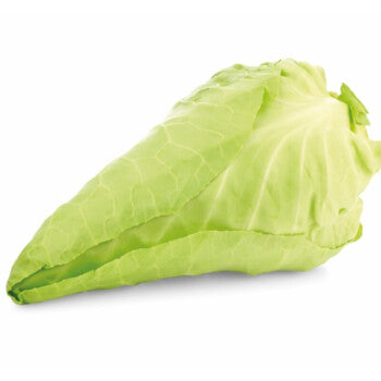 Pointed Cabe Raw 1 piece