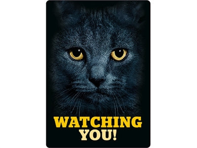 PLENTY GIFTS WAAKBORD BLIK ZWARTE KAT WATCHING YOU 21X15 CM