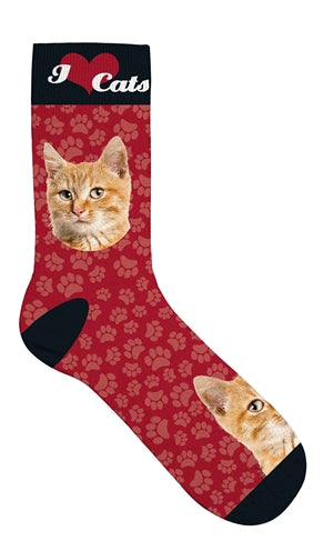 PLENTY GIFTS SOKKEN ORANJE KATTEN ROOD 39-44