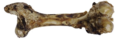 PETSNACK DINOBOT XXL 