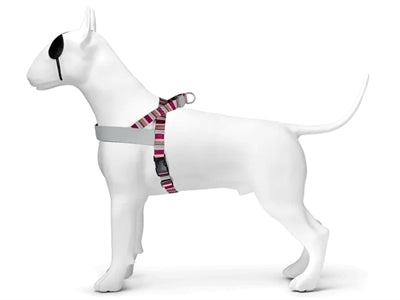 MORSO NORWEGIAN HONDENTUIG GERECYCLED SKYLINE ROOD / ROZE 69-86X63 CM