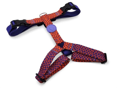 MORSO HONDENTUIG H-TUIG GERECYCLED URBAN LIZARD ROOD 40-55X1.5 CM