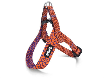 MORSO MINI HONDENTUIG VERSTELBAAR GERECYCLED URBAN LIZARD ROOD 32-41X2.5 CM