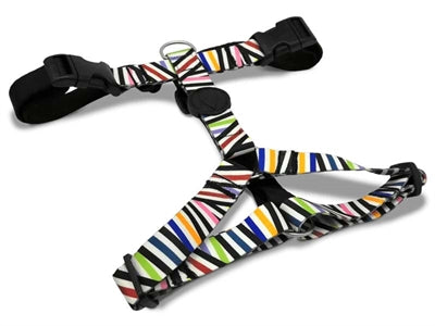 MORSO HONDENTUIG H-TUIG GERECYCLED SPAGHETTI INCIDENT 40-55X1.5 CM