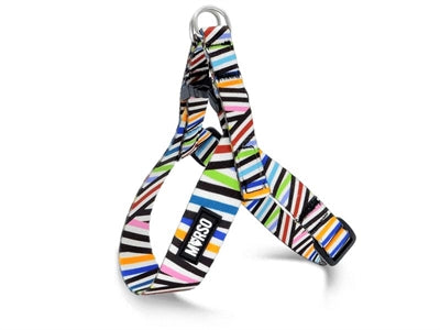 MORSO MINI HONDENTUIG VERSTELBAAR GERECYCLED SPAGHETTI INCIDENT 32-41X2.5 CM