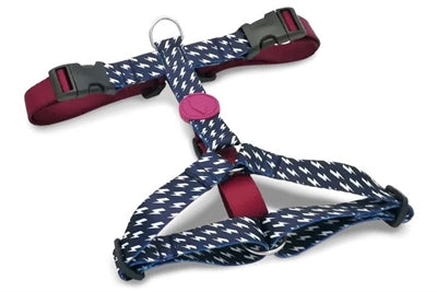 MORSO HONDENTUIG H-TUIG GERECYCLED POWER FLOW ZWART 70-100X2.5 CM