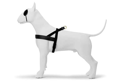 MORSO NORWEGIAN HONDENTUIG GERECYCLED GOLD CAVIAR GOUD 69-86X63 CM