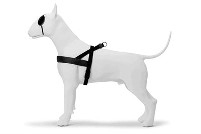 MORSO NORWEGIAN HONDENTUIG GERECYCLED PURENESS ZWART 46-60X42 CM