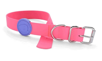 MORSO HALSBAND HOND WATERPROOF GERECYCLED PASSION PINK ROZE 23-31X1.5 CM