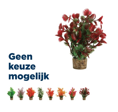 ZOLUX ORNAMENT PASTIC PLANT OP STENEN PUNTIG ASSORTI 20X10X10 CM