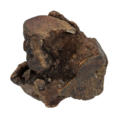 DOG WOODZZZ KAUWWORTEL MET OLIJFOLIE XL 751-1000 GR