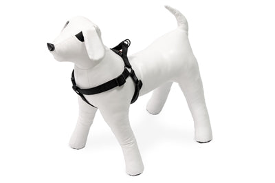 KARLIE TUIG SPORTIEF PLUS STEP&GO ZWART 25-45X1.5 CM