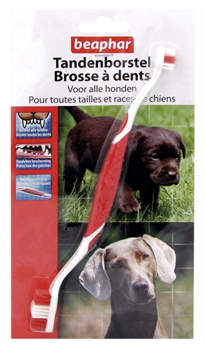 BEAPHAR TANDENBORSTEL 