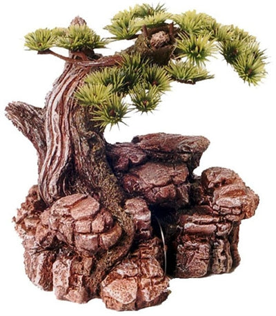 BONSAI BOOM OP ROTS 17.5 CM