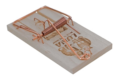 LUNA MUIZENVAL HOUT 9.5X5X2 CM