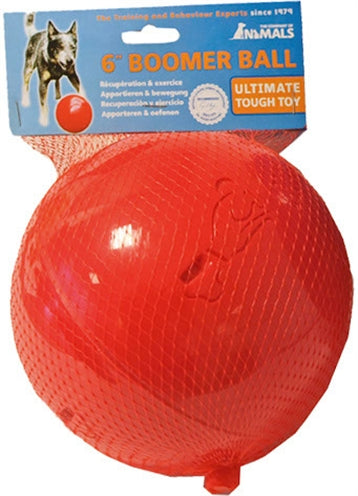 BOOMER BALL MEDIUM 15 CM