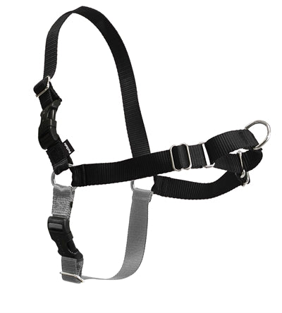 PREMIER EASY WALK ANTI-TREK TUIG ZWART M