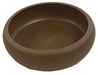 KOMODO MEELWORM SCHAALTJE 