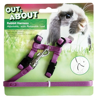 HAPPY PET KONIJNENTUIG MET LOOPLIJN PAARS 20-30 CM 25-40 CM