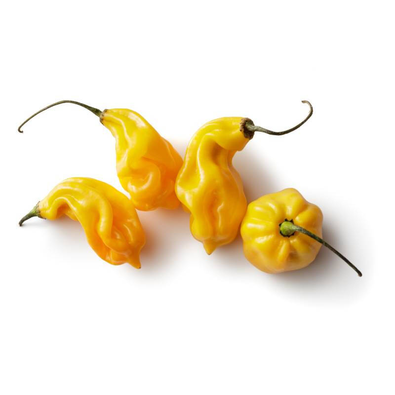 Pepper Madame 100g