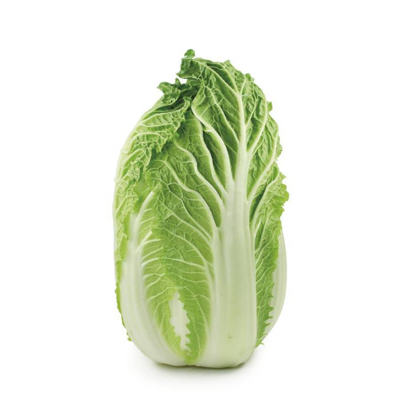 Chinese Cabbage 1 pc